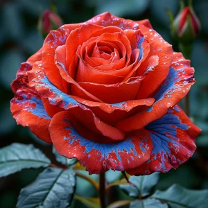 Роза Сикрет Гарден купить по цене от 619р. в интернет-магазине «Посадика» с доставкой почтой в в Миллеровое и по всей России – [изображение №1].